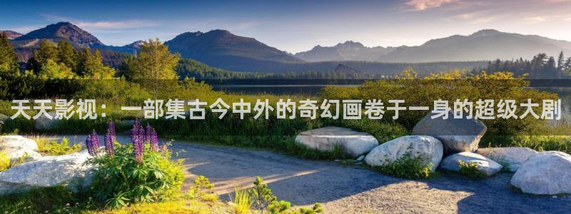 人人影巴