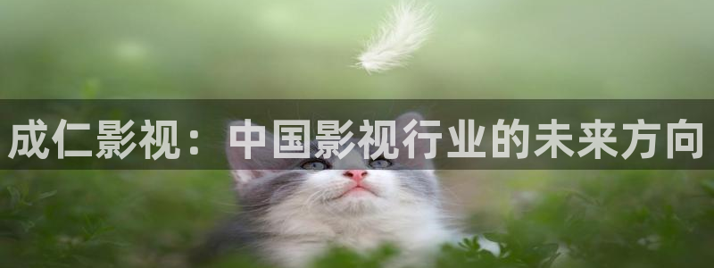 人人影视大全