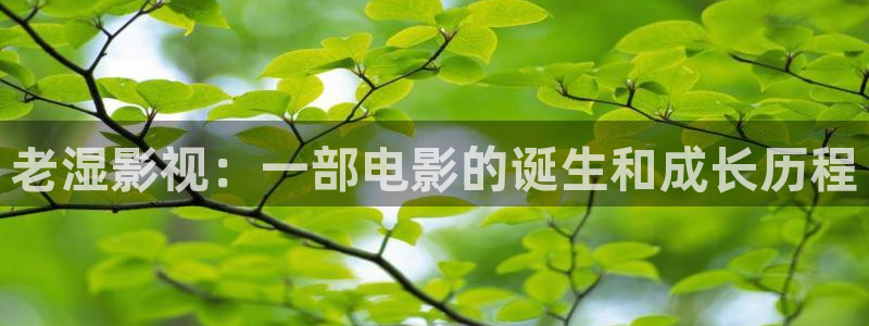 人人影视大全