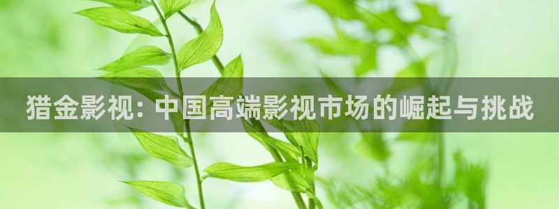 人人影视下载