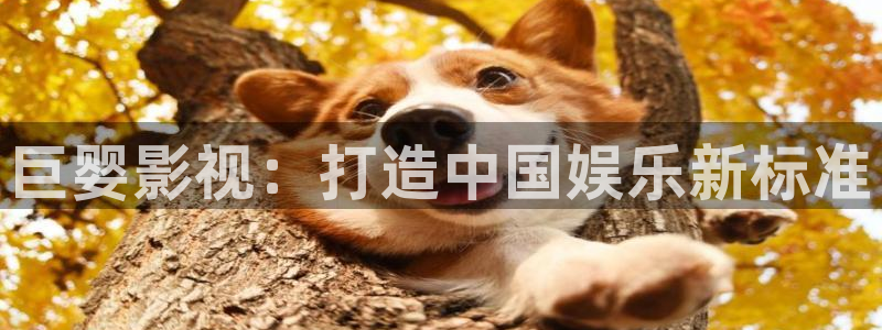 人人影视免费追剧