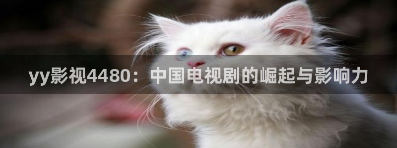 人人影视网