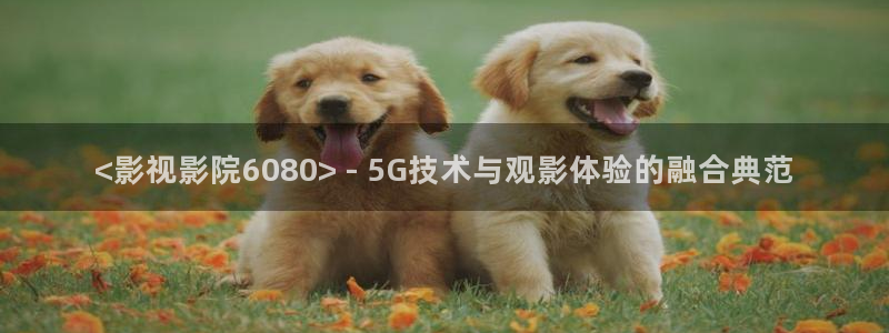 人人影院网