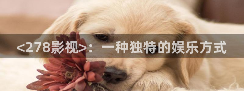人人影院在线观看免费播放电视剧