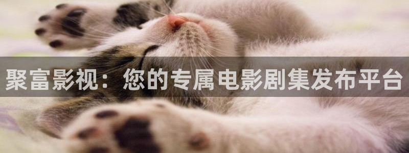 人人影视下载官方