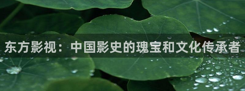 人人影院51