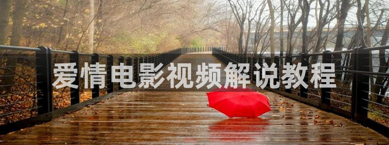人人影视网站