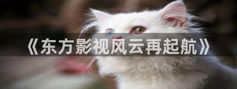 人人影院网址