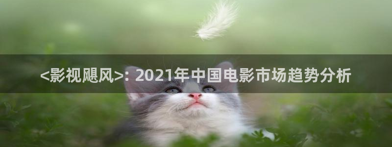 人人影院网址